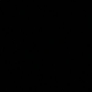 Meet your Posher, Ari